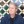 Avatar de Joseph Rowe