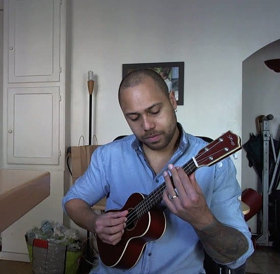 Pro donne cours ukulele