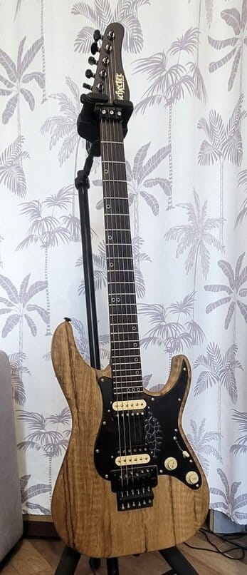 Guitare SCHECTER SUN VALLEY
