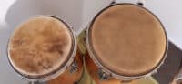 Congas Gonbops