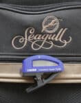 Guitare Folk Seagull