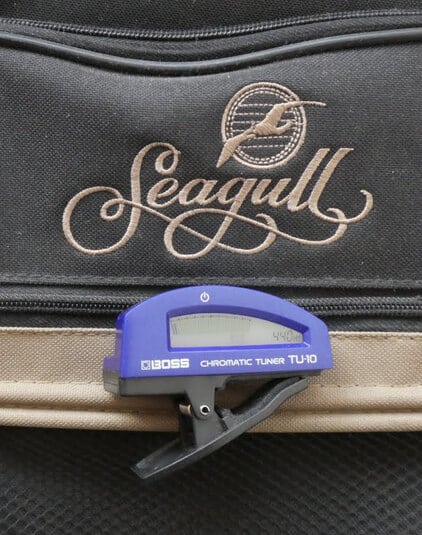 Guitare Folk Seagull
