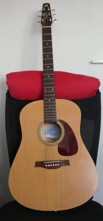 Guitare Folk Seagull